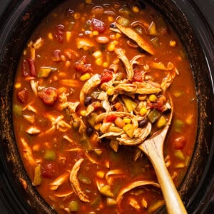 A bowl of chicken soup in a slow cooker with a wooden spoon.