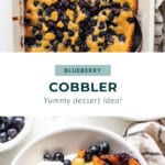 blueberry cobbler pin.