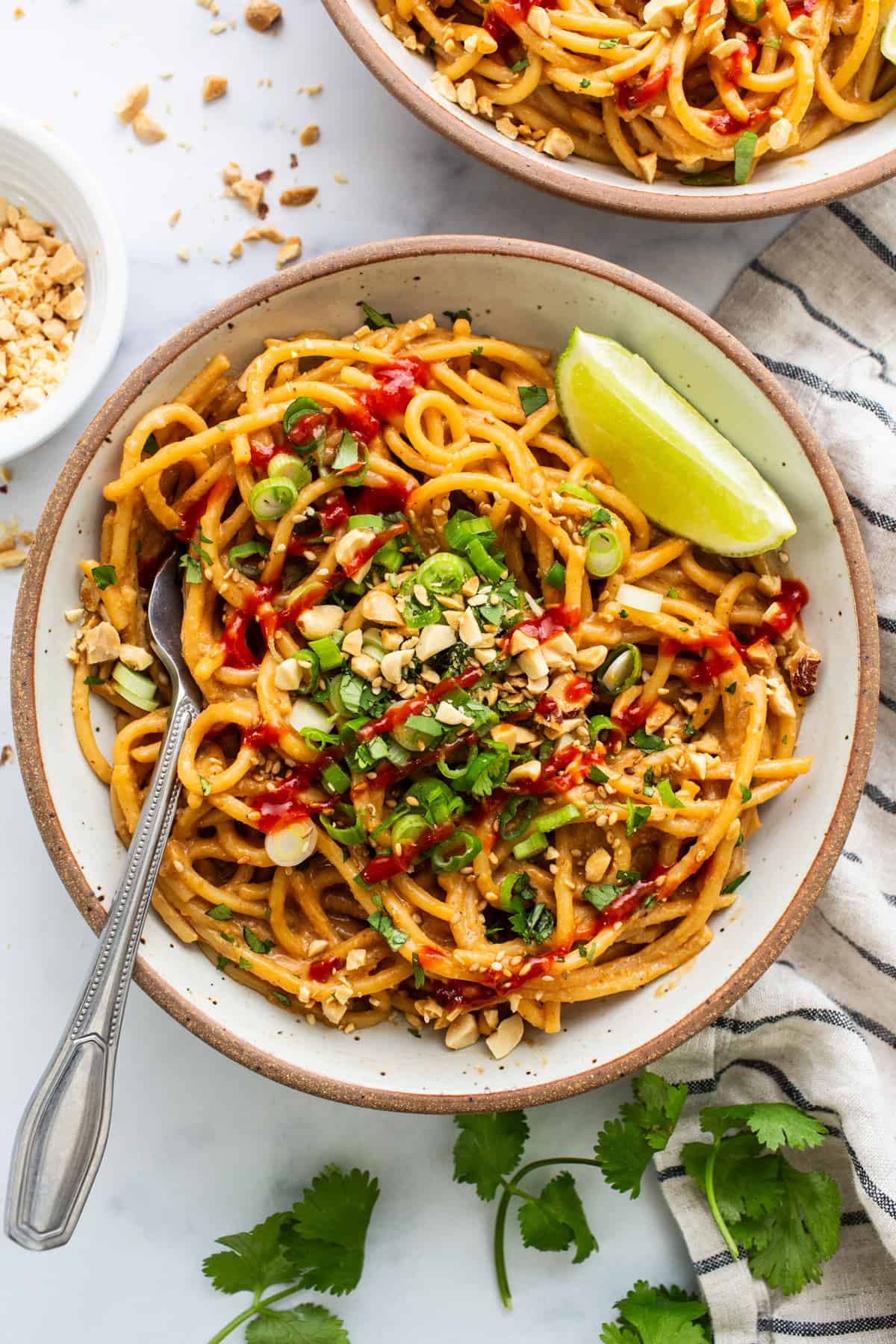 Two bowls of asian noodles with peanut sauce.