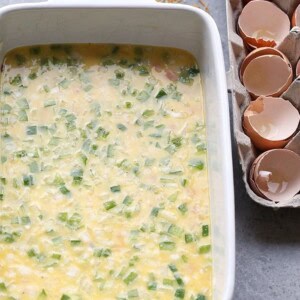 A Denver omelette with green onions.