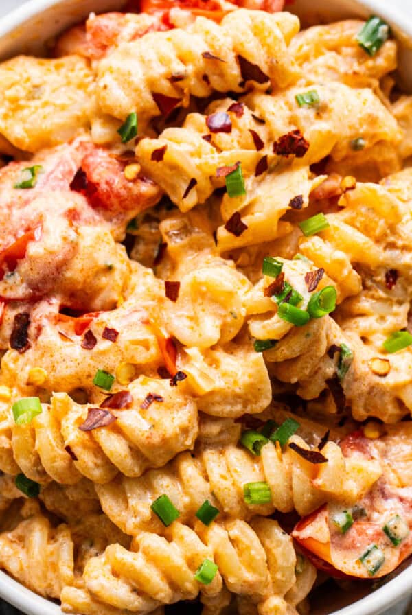 A bowl of creamy pasta with tomato pieces and sprinkled with herbs.