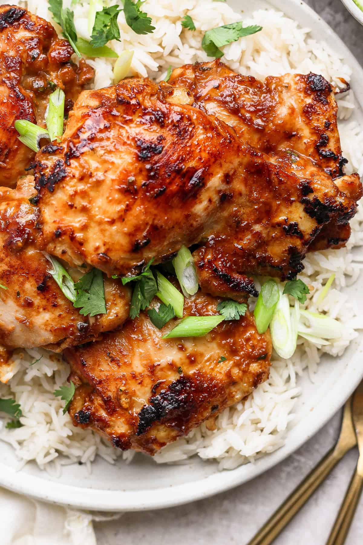 Grilled chicken thighs glazed with a honey garlic sauce, served on white rice with chopped green onions and cilantro garnish.